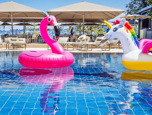 PISCINE DU POOLGARDEN